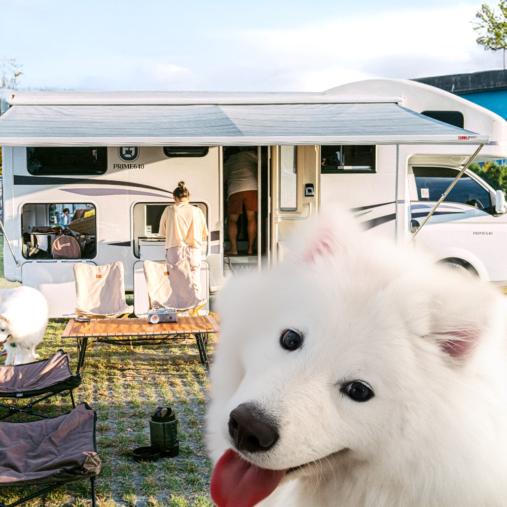 차량 상세 이미지