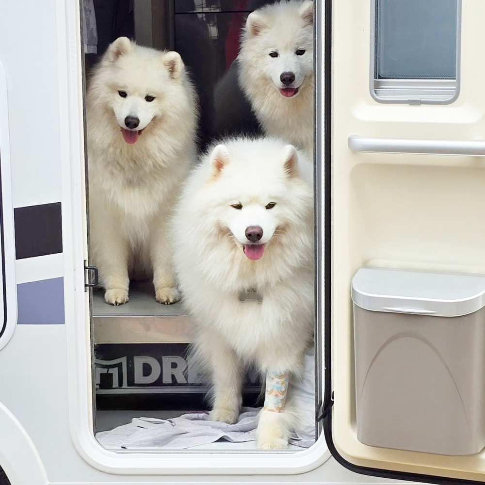 차량 상세 이미지