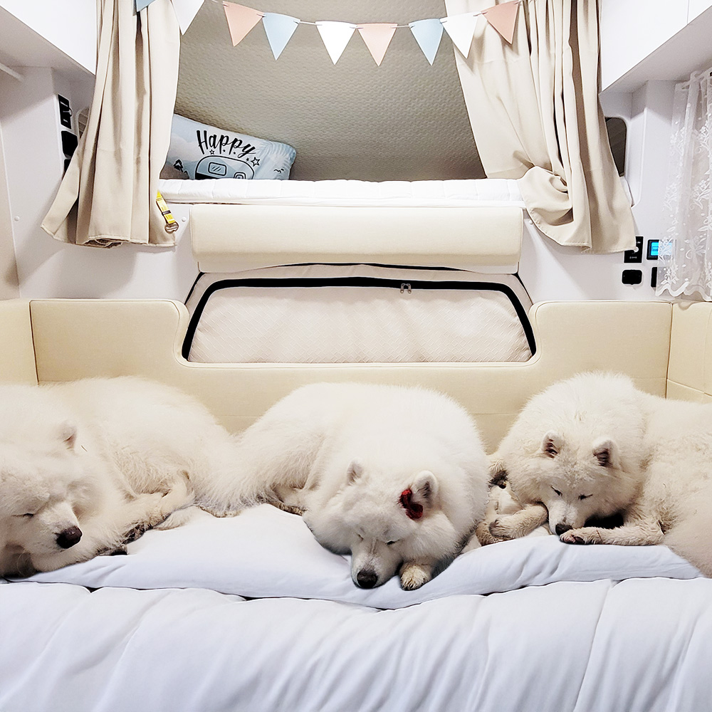 차량 상세 이미지