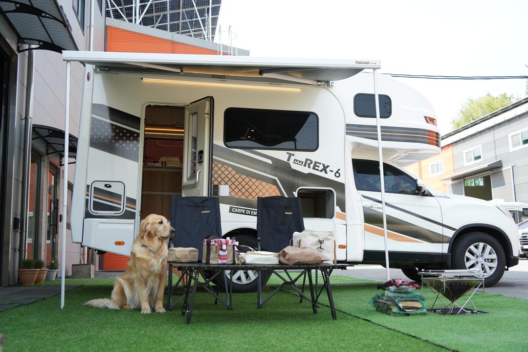 [경기 안성] 렉스턴 칸 Trex-6