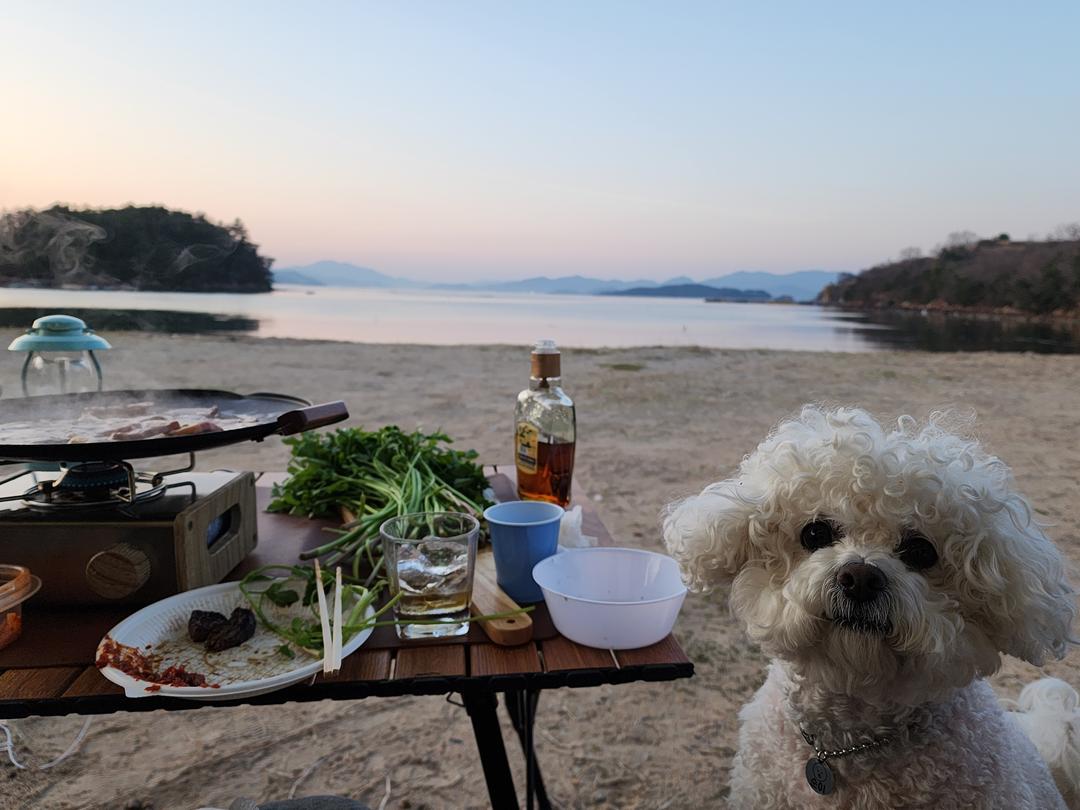 이용후기 사진 4