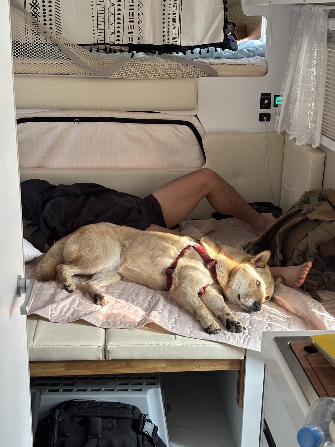 이용후기 사진 4