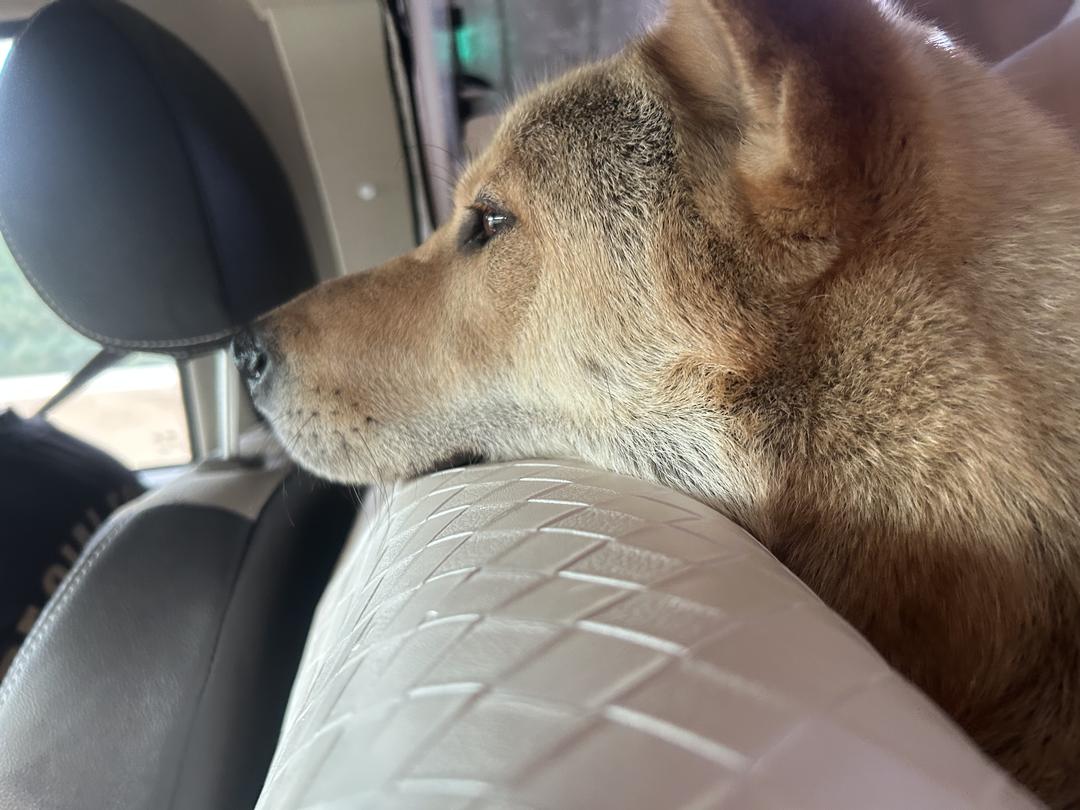 이용후기 사진 3