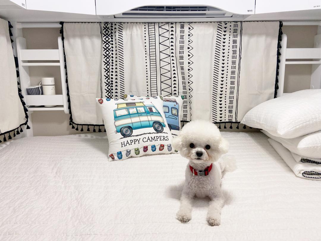 이용후기 사진 3