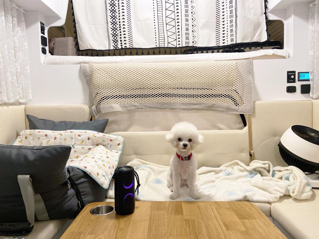 이용후기 사진 2