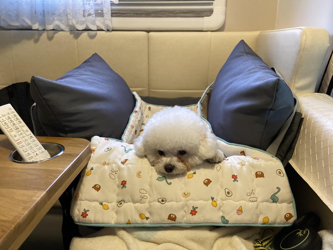 이용후기 사진 5